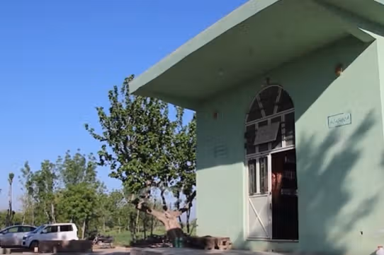 روایت تکاندهنده شاهدان عینی از حمله مسلحانه به شیعیان در هرات