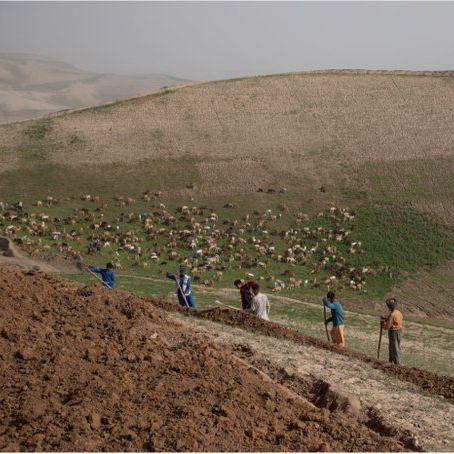 اتحادیه اروپا میگوید از افغانها در برابر پیامدهای تغییرات اقلیمی حمایت میکند