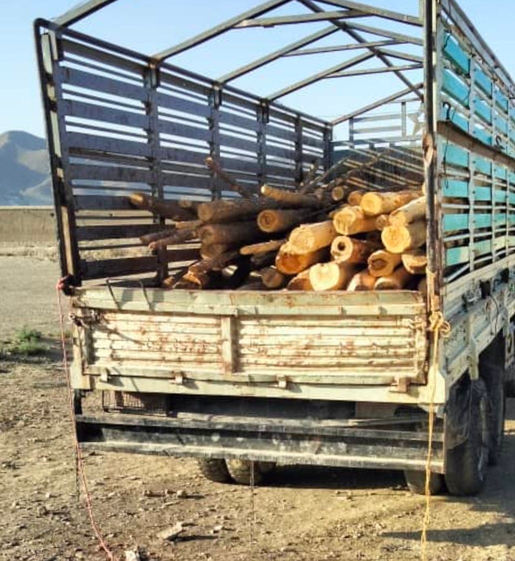 طالبانو د پکتیکا په ارګون ولسوالۍ کې یو موټر د تیرانو د قاچاق پر مهال نیولی