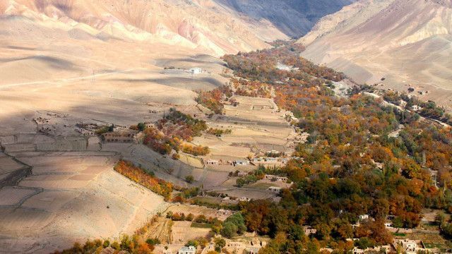 د هرات په چشت ولسوالۍ کې یو ځوان او کوژدنه یې په مرموز ډول وژل شوي دي