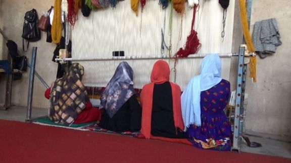 افغانستان په تېرو ۵ میاشتو کې د ۷ میلیون او ۵۰۰ زره ډالرو په ارزښت غالۍ بهر ته صادرې کړې