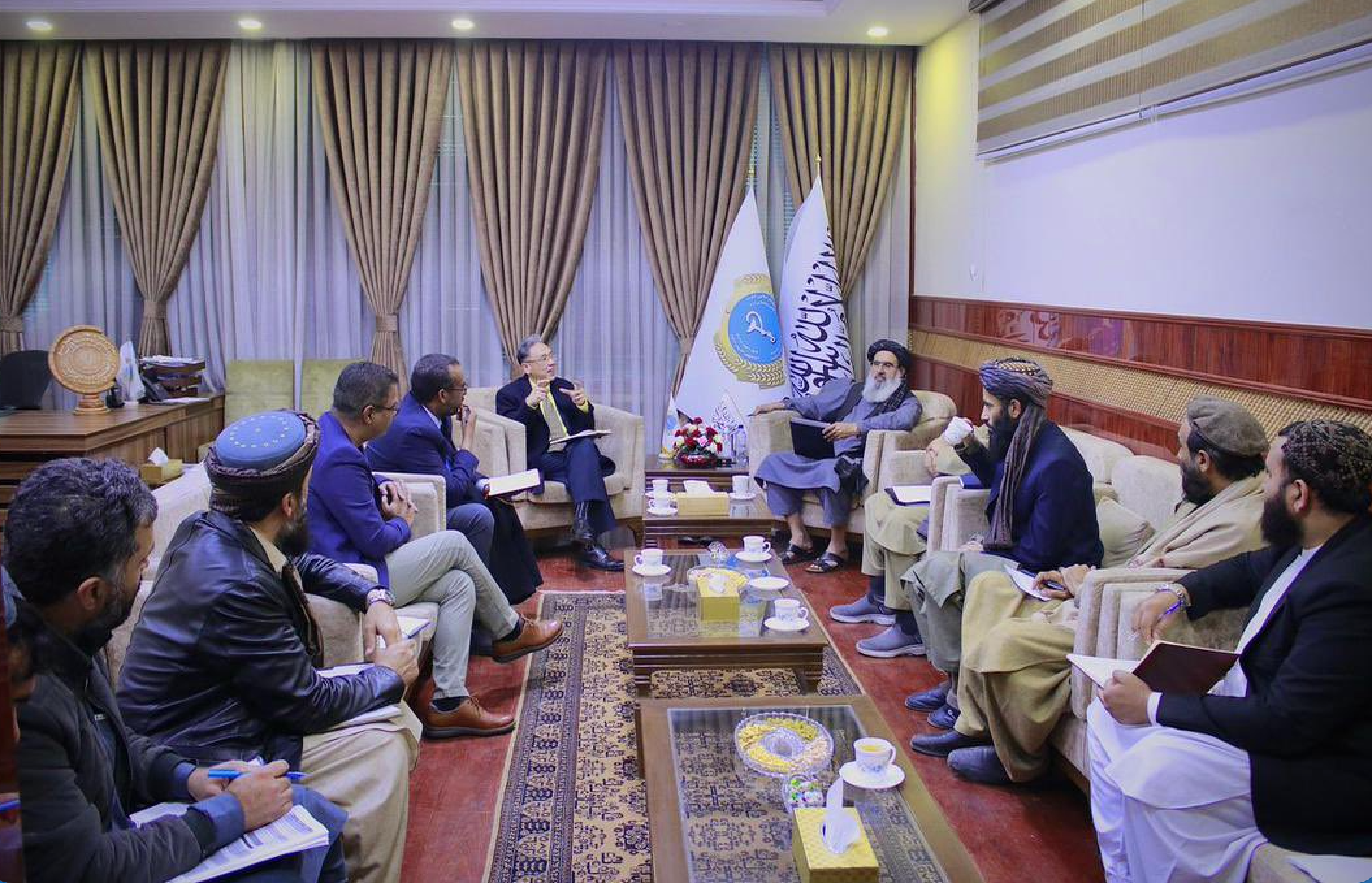 طالبانو له ملګرو ملتونو غوښتي چې د ګوزڼ ویروس د مخنیوي په برخه کې کوټلي ګامونه پورته کړي