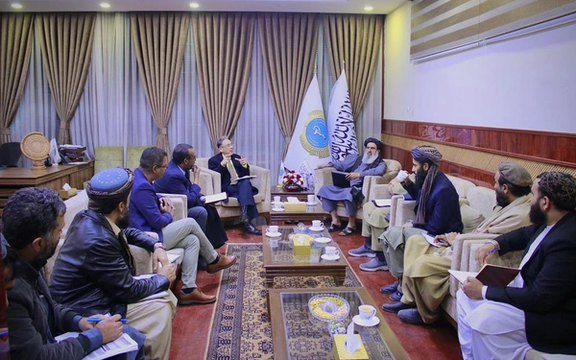 طالبانو له ملګرو ملتونو غوښتي چې د ګوزڼ ویروس د مخنیوي په برخه کې کوټلي ګامونه پورته کړي