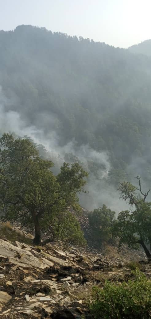 آتش‌سوزی در جنگل‌های کنر از دو روز پیش تا اکنون همچنان ادامه دارد