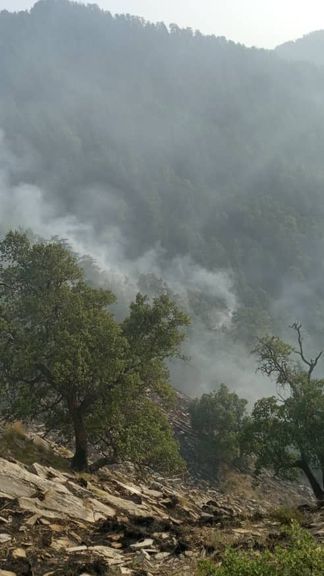 آتشسوزی در جنگلهای کنر از دو روز پیش تا اکنون همچنان ادامه دارد