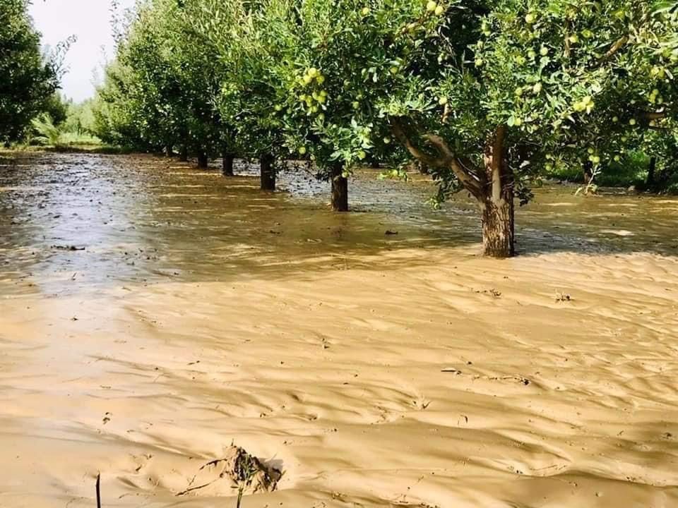 اداره هواشناسی: ۱۷ ولایت افغانستان شاهد بارندگی و سیلاب خواهد بود