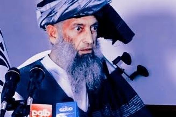 طالبانو په پنجشېر کې ملا یحیی عنابي نیولی