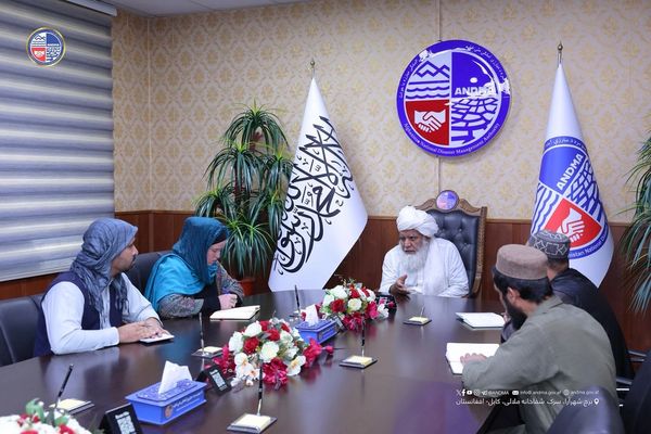 طالبان وايي په کابل کې زیات کډوال مېشت دي او نغدو مرستو ته اړتیا لري