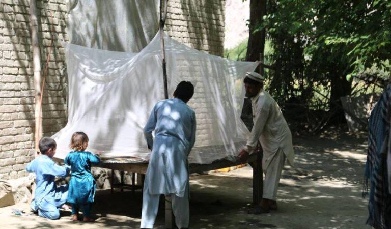 ملګري ملتونه: افغانستان کې د ملاریا ناروغۍ د مخنیوي هڅې له ستونزو سره مخ دي 