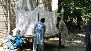 ملګري ملتونه: افغانستان کې د ملاریا ناروغۍ د مخنیوي هڅې له ستونزو سره مخ دي