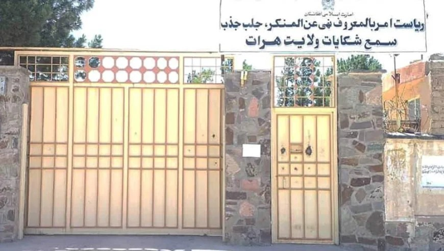 طالبانو په هرات کې ۷۵۰ رواني ناروغان نیولي دي