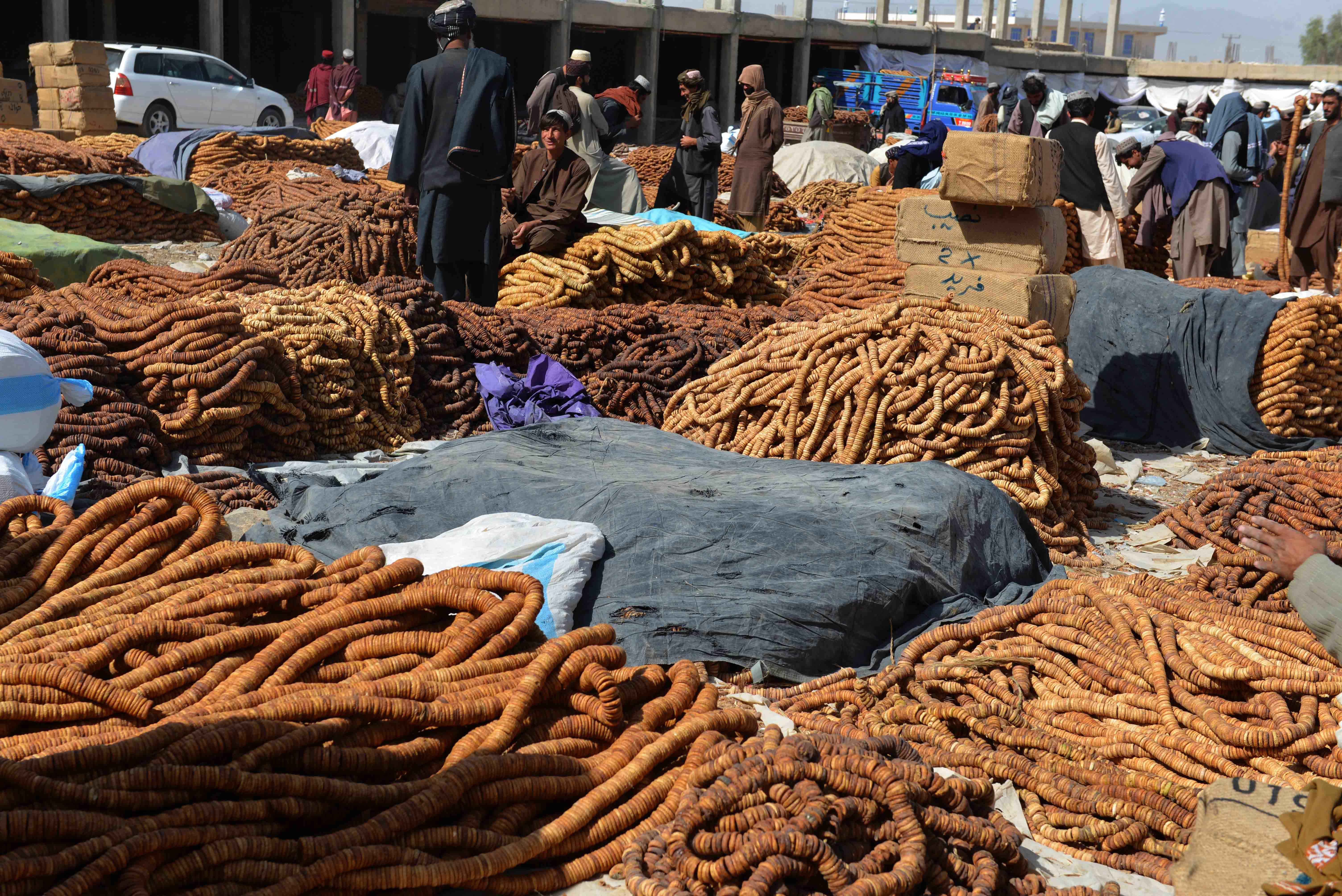 کندهار کې سوداګر د وچې مېوې لپاره د بديلو لارو غوښتنه کوي