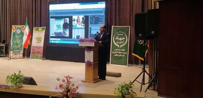 مقام ایرانی می‌گوید افغانستان رقیب اصلی زعفران ایران شده است