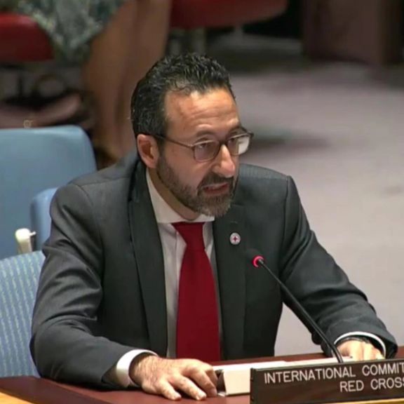 رابرت مردینی، رییس صلیب سرخ میگوید تکیه بر سازمانهای بینالمللی فقط «چاره موقتی» است.