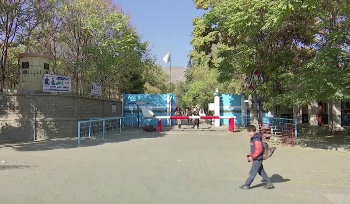استادان پیشین زن: زندگی زیر حاکمیت طالبان مرگ تدریجی است