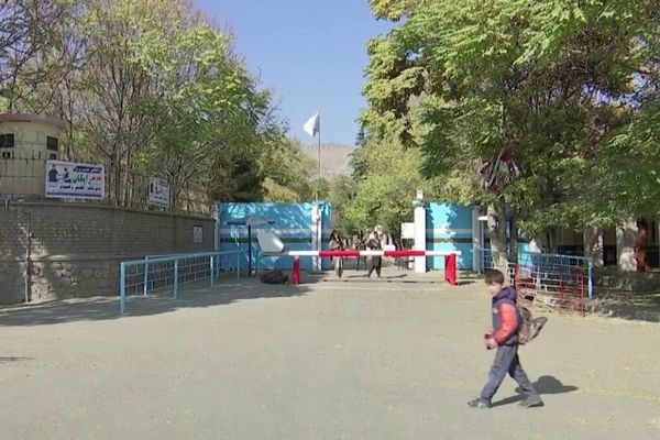 استادان پیشین زن: زندگی زیر حاکمیت طالبان مرگ تدریجی است