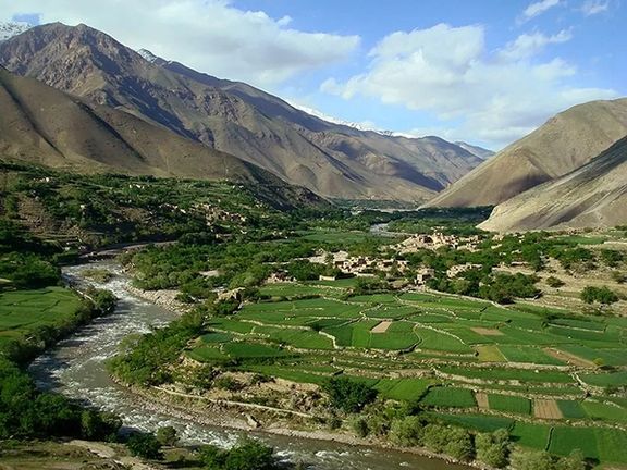 Taliban Bans Broadcast Of Living Beings’ Images In Panjshir Media