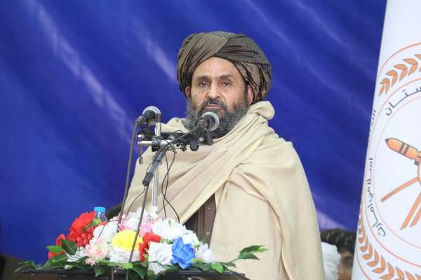 ملا برادر: افغانستان «د زقوم ونه» ده او نوزیږي ماشومان یې نه شي هضمولای