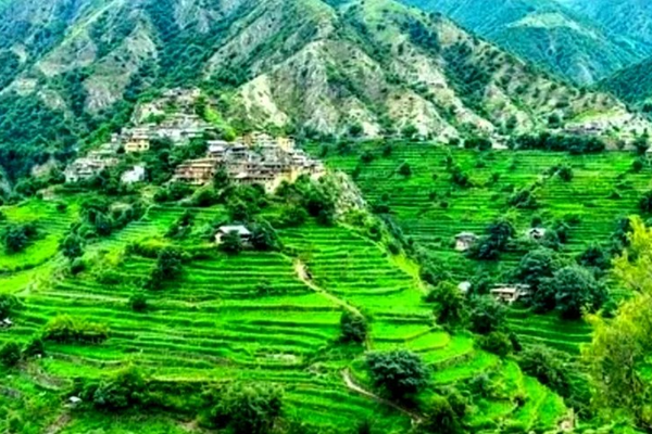 په کونړ کې د یوې زړې مرمۍ د چاودنې له امله یو ماشوم وژل شوی او ۶ نور ټپیان دي