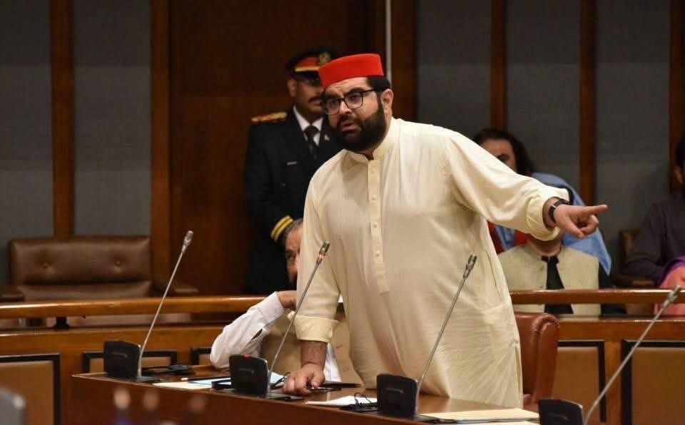 اېمیل ولي خان: هره پېښه باید پر افغانستان ونه تپل شي