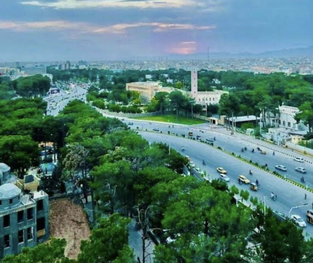  یوه طالب چارواکي په هرات کې پر ملکي وګړو برید «ترهګریز» بللی دی