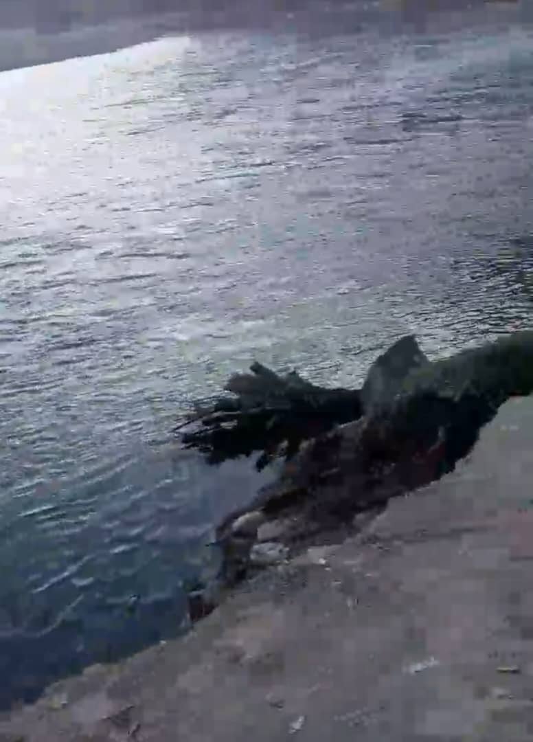 د امو سیند څنډه