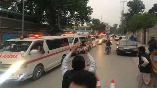 له کورمې تر بغلانه خلک ولې وژل کیږي؟