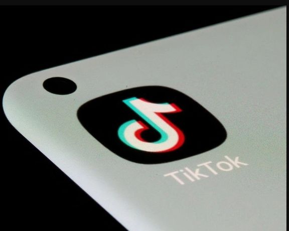 نگرانیهای امنیتی باعث شده استفاده از تیکتاک در شماری از کشورها منع شود