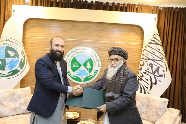 د طالبانو او یوې موسسې ترمنځ د اقلیمي بدلون مديريت لپاره د ۲۲۰ زره ډالرو هوکړه لاسلیک شوه