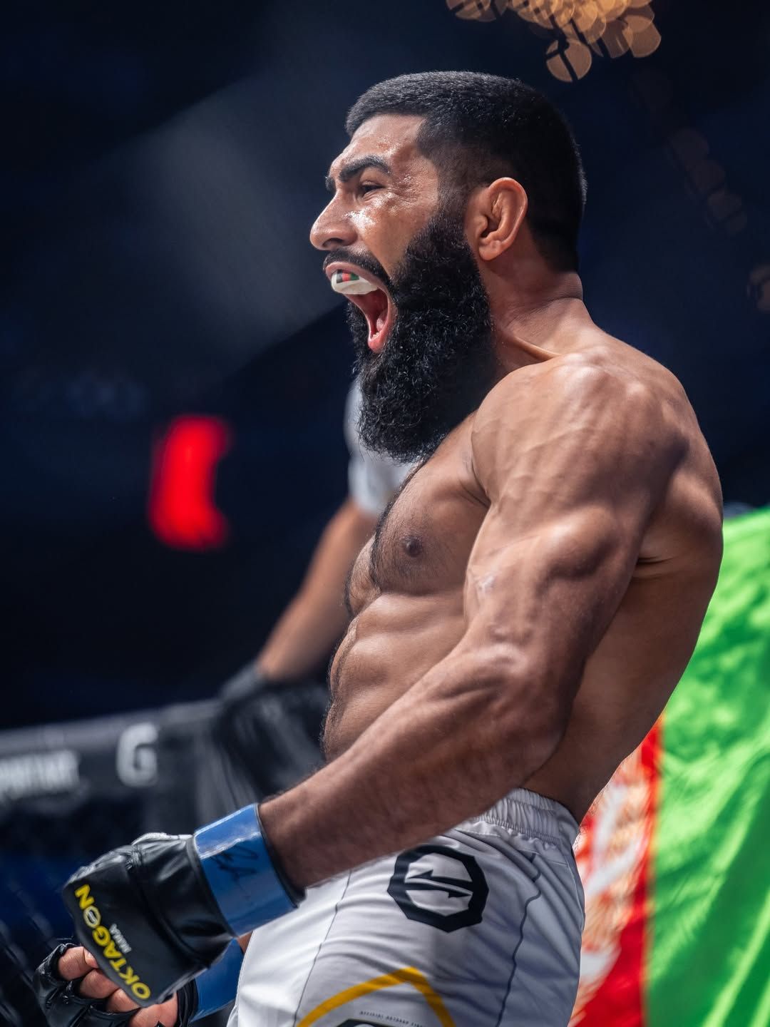 د ازاده سیالیو افغان لوبغاړی احمد حلیمسون د چک جمهوریت یوه لوبغاړي پر وړاندې لوبه کوي