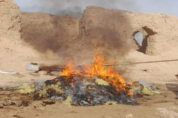 طالبان وایي په فراه او هلمند کې یې د نشهیي توکو دوه کارخونې سوځولې دي