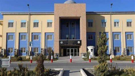 طالبان: د روان کال په لومړیو شپږو میاشتو کې له ۸ زرو زیاتې جنايي پېښې ثبت شوې دي