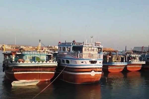 بېکدلي: ایران ژمن دی چې د چابهار بندر له لارې د افغانستان وچې مېوې نړۍوال بازار ته ورسوي