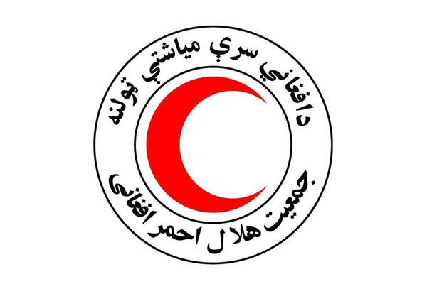 د سرې میاشتې ټولنه وايي، تر ۸۰۰ ډېر ورک ماشومان پیدا او بېرته خپلو کورنیو ته سپارل شوي