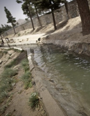 الأمم المتحدة تؤكد أهمية إنشاء "مناطق إسفنجية" لإدارة المياه في أفغانستان