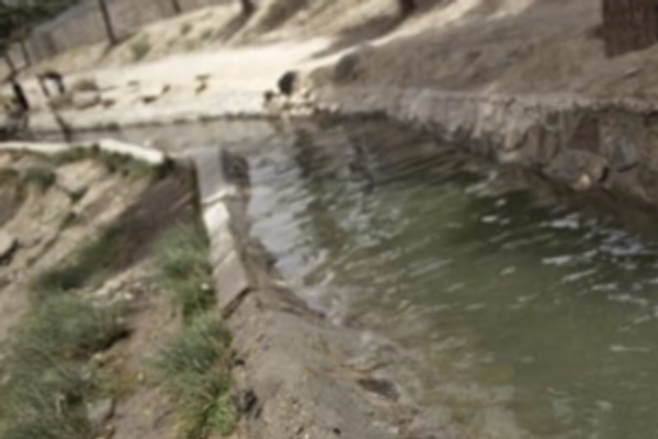 الأمم المتحدة تؤكد أهمية إنشاء "مناطق إسفنجية" لإدارة المياه في أفغانستان