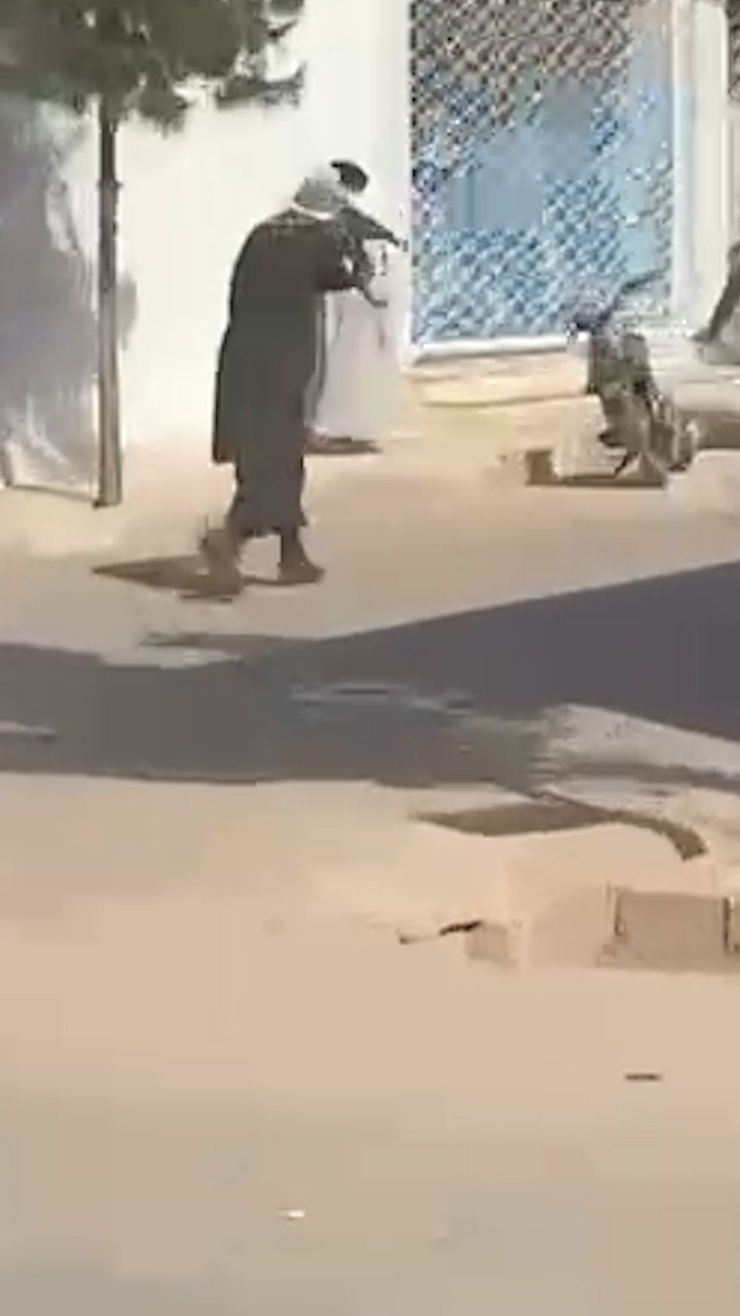 ملګري ملتونه: طالبانو د هرات لاریون کوونکو پر وړاندې جنګي مهمات کارولي