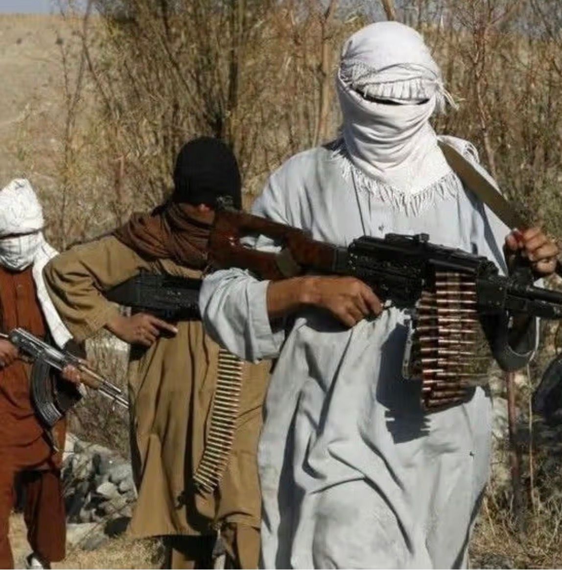 Taliban Sheltering Anti-State Militants Under Cover Of Refugees, Says Pakistan