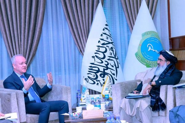 د طالبانو روغتیا وزیر د خوړو نړیوال پروګرام له مشر څخه د عامه تغذيې برخه کې مرسته غوښتې