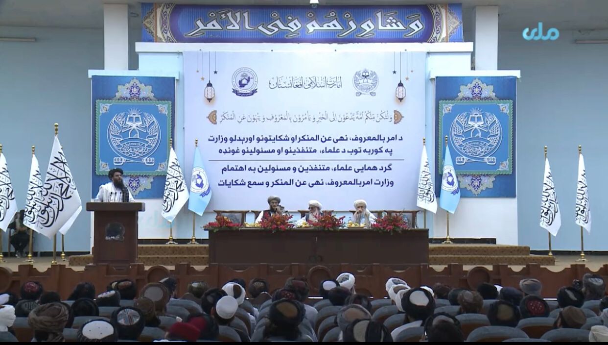 طالبان: اوسنی نظام مو د ښځو او ځوانانو د "فدایي" بریدونو په قربانیو لاسته راوړی