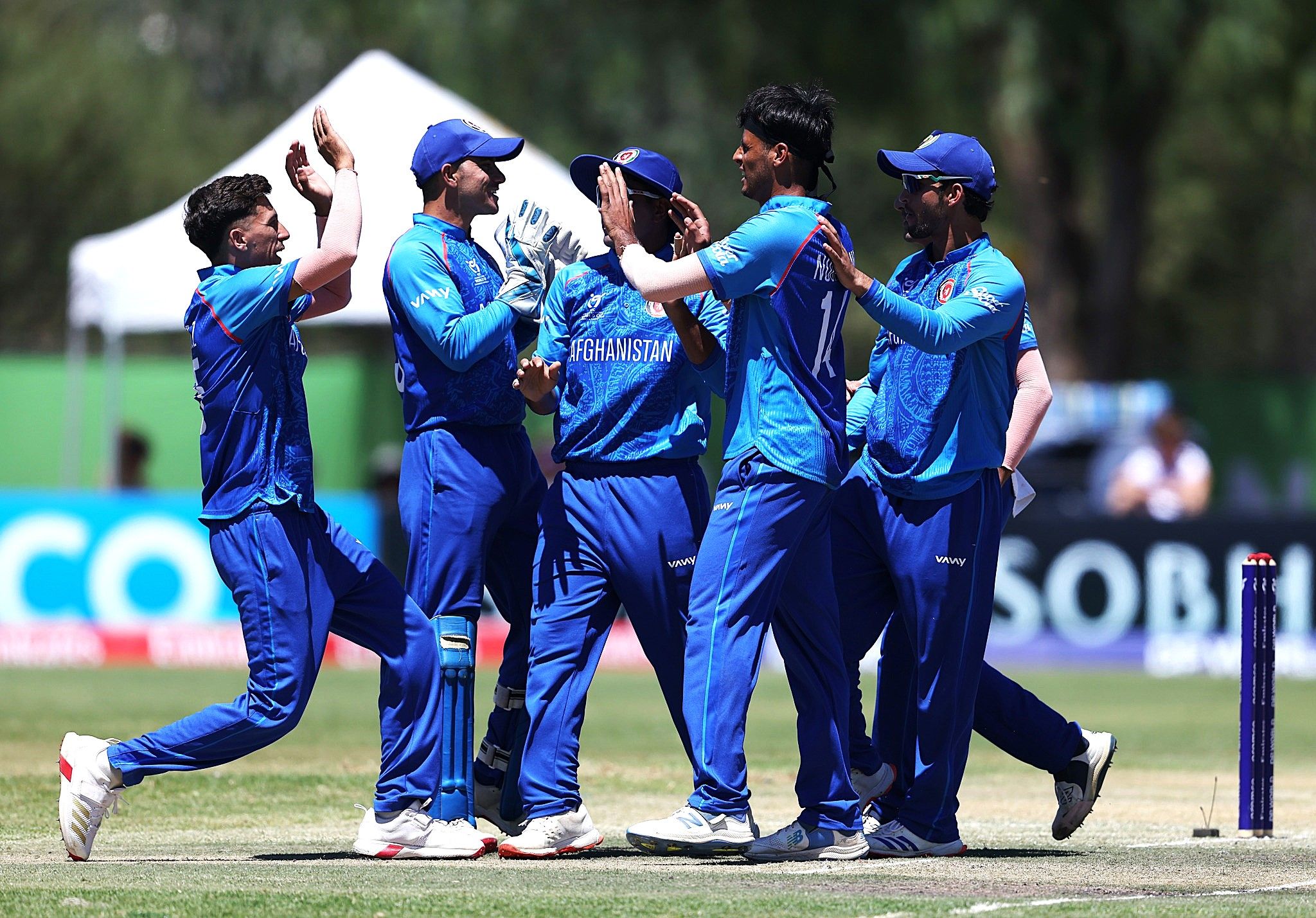 ادامه درخشش ببرهای آبی در جام جهانی؛ افغانستان با شکست ویست اندیز صدرنشین شد