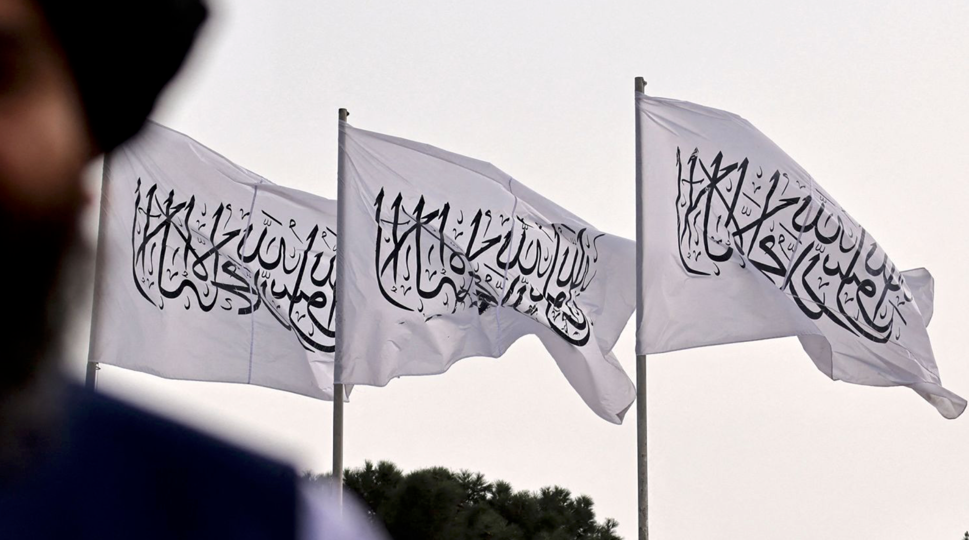 د بشري حقونو نړیوال فدراسیون په بروکسل کې د طالب پلاوي د نیولو غوښتنه کړې وه