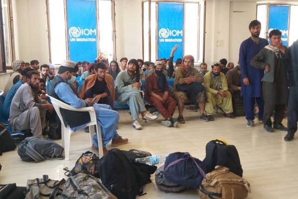 د کډوالۍ نړیوال سازمان وایي ۱۱ سلنه راستنو شویو کډوالو کار موندلی او نور بې کاره دي