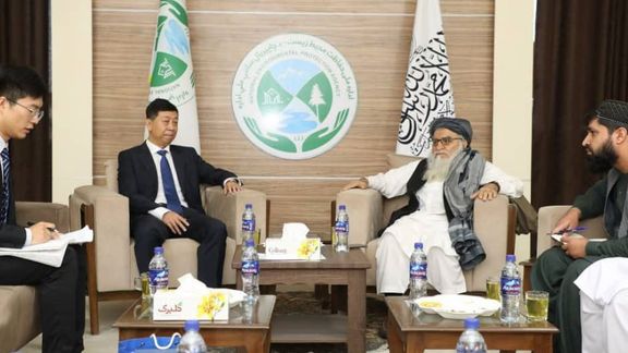 طالبان خواهان کمک چین برای حفاظت از محیط زیست شد