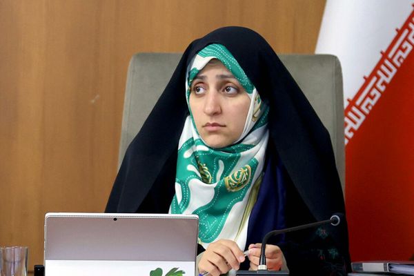 د پزشکیان مرستیاله: اېستل شوي افغانان دې د خپلو پیسو لپاره د ایران استازولیو ته ورشي