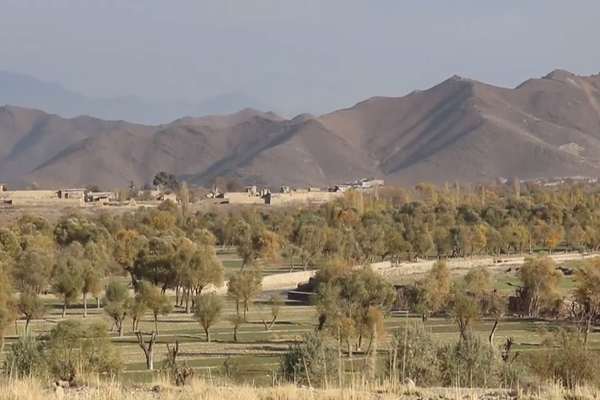 مرزبانان پاکستان و طالبان در دند پتان پکتیا به سوی همدیگر آتش گشودند