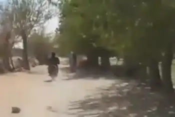 جبهه متحد میگوید یک کارمند استخبارات طالبان را در قندهار کشته است