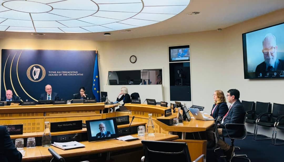 د ایرلنډ پارلمان: د افغان ښځو پر وړاندې چلند دې د جنسیتي توپیر په توګه په رسمیت وپېژندل شي