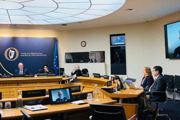 د ایرلنډ پارلمان: د افغان ښځو پر وړاندې چلند دې د جنسیتي توپیر په توګه په رسمیت وپېژندل شي