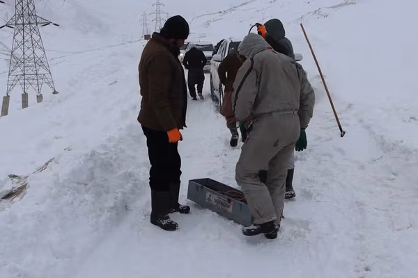 د پلخمري - کابل برېښنا لېږد مزي دویم سرکټ د بیا نښلولو هڅې ناکامې شوې دي